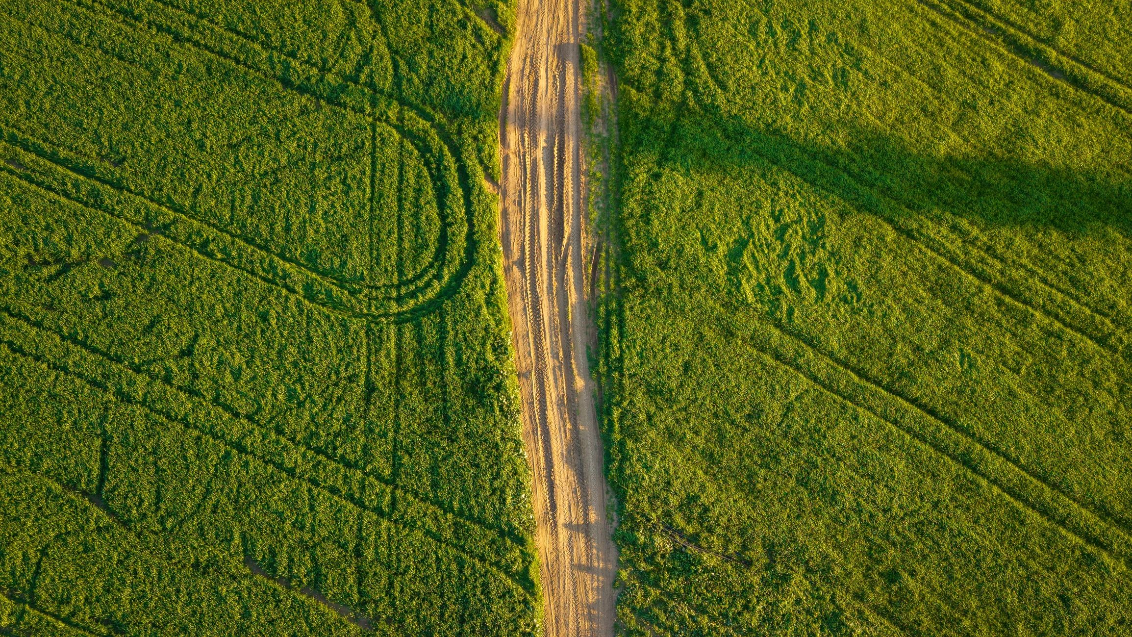 Aerial landscape pattern representing surveying and geospatial analysis